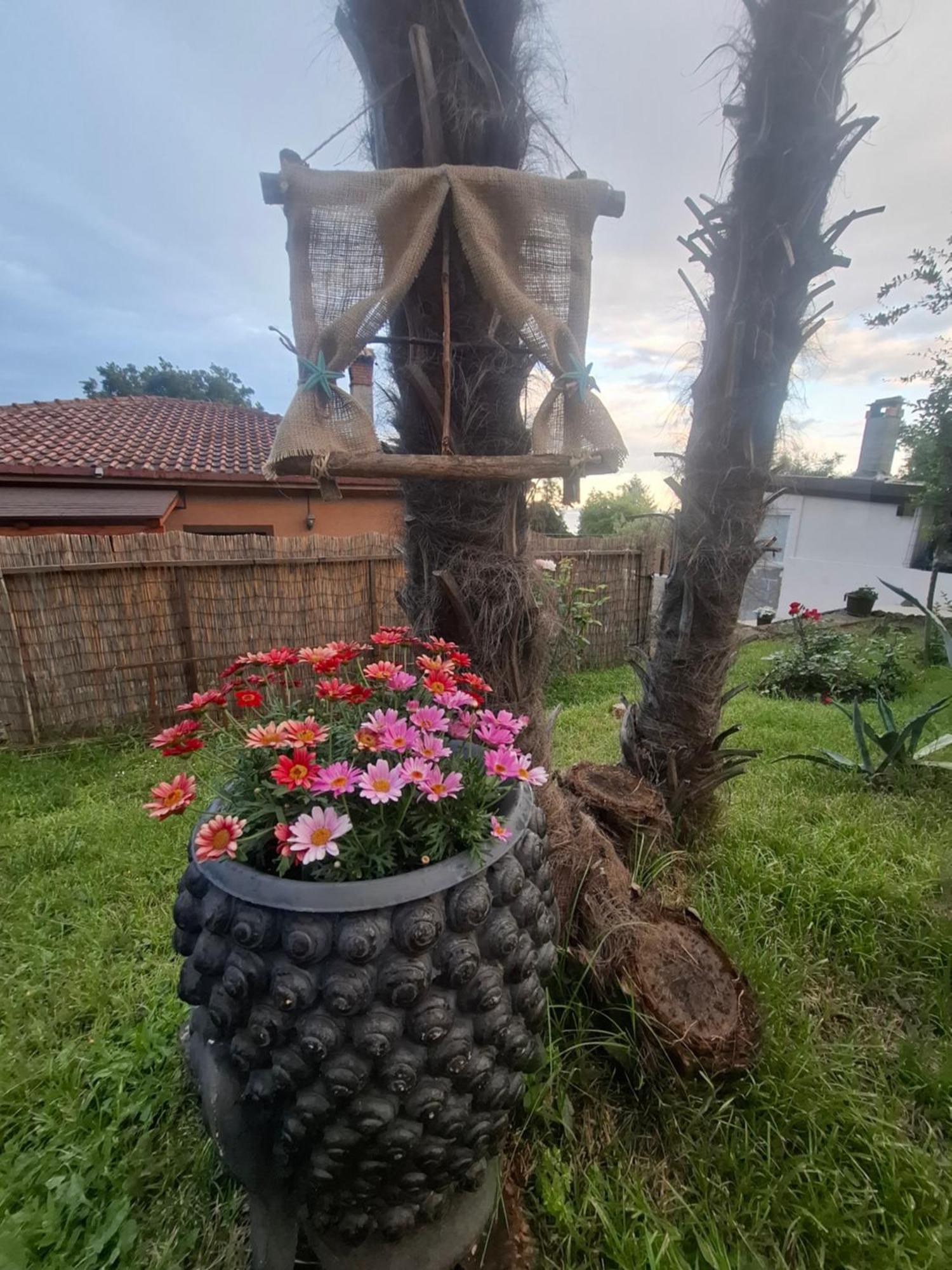 Apartman Envi Opatija Exterior foto