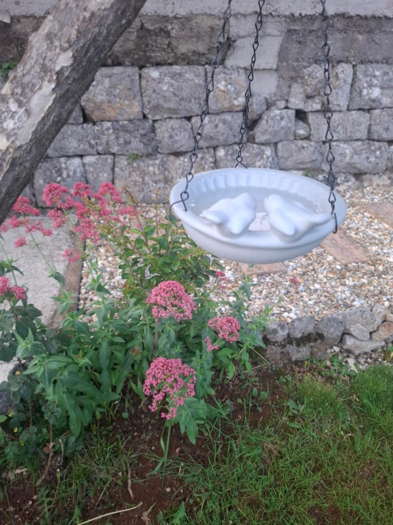 Apartman Envi Opatija Exterior foto
